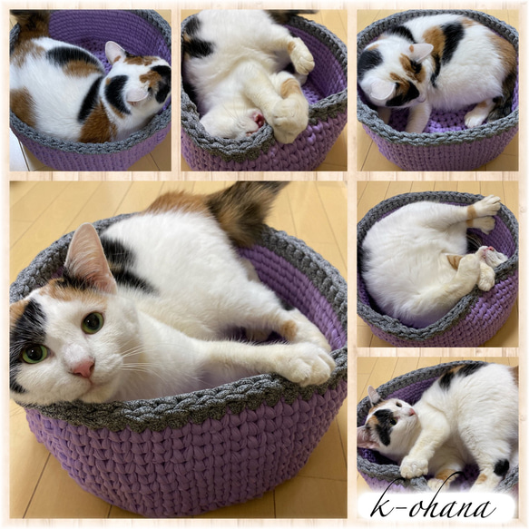 猫ベッド☆猫カゴ Tシャツヤーンで手編み 犬カゴ☆ペットベッド【Lサイズ】NO,131 5枚目の画像