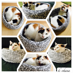 猫ベット☆猫カゴ Tシャツヤーンで手編み 犬カゴ☆ペットベット【Lサイズ】NO,012 6枚目の画像