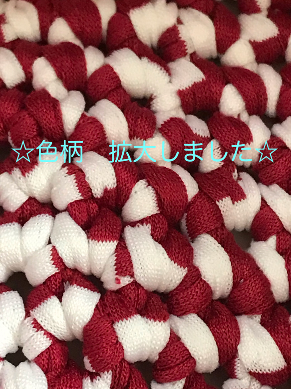 猫ベット☆猫カゴ Tシャツヤーンで手編み 犬カゴ☆ペットベット【Lサイズ】NO,032 4枚目の画像
