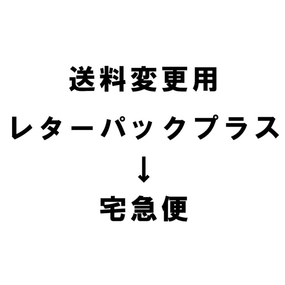 送料変更用（レターパックプラス→宅急便） 1枚目の画像