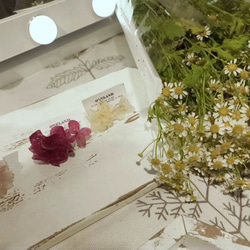 【受注制作】レジンフラワー ✳︎ 紫陽花ブーケピアス イヤリング 3枚目の画像