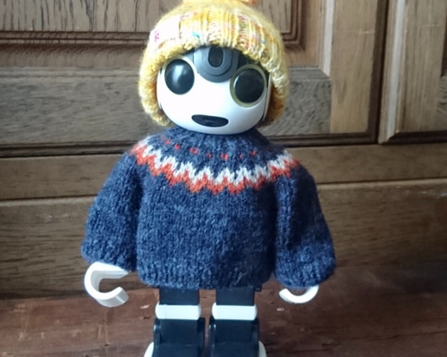 ロボホンの丸ヨークセーター(紺) ニット・セーター りくふう 通販