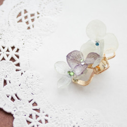 本物紫陽花のイヤリング、イヤーカフ 左耳用 3枚目の画像