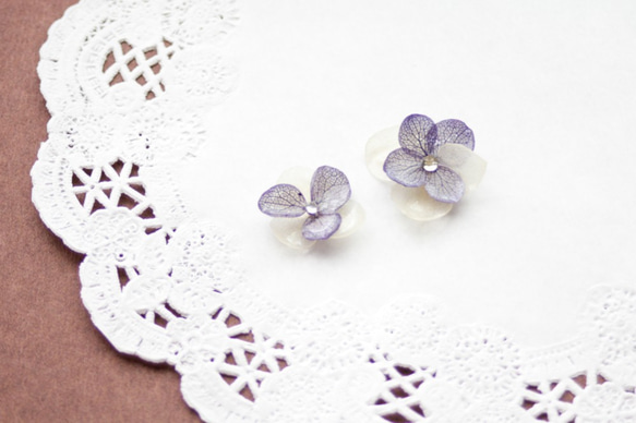 本物紫陽花のシンプルピアス、イヤリング 2枚目の画像