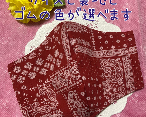 専用出品/ペイズリー柄MG製作 専用出品/ペイズリー柄MG製作 （生地 ツイルプリント ペイズリー
