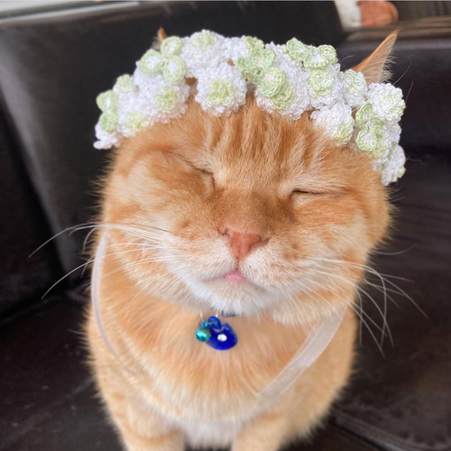 レース編み ペット用アクセサリー ぽわぽわシロツメクサの花かんむり  