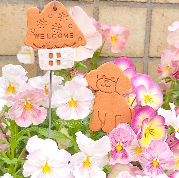 ぷくぷく　プードル　素焼き　ガーデンピック　ガーデニング　ガーデン雑貨　犬雑貨 3枚目の画像