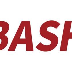 バスケTシャツ「BASH」 2枚目の画像
