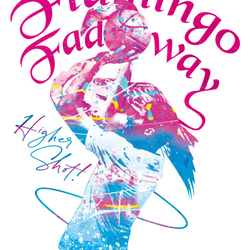 バスケTシャツ「Flamingo Fadeaway」 2枚目の画像