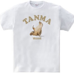アザラシTシャツ「TANMA」 3枚目の画像