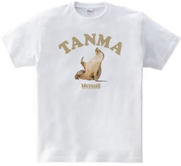 アザラシTシャツ「TANMA」 3枚目の画像