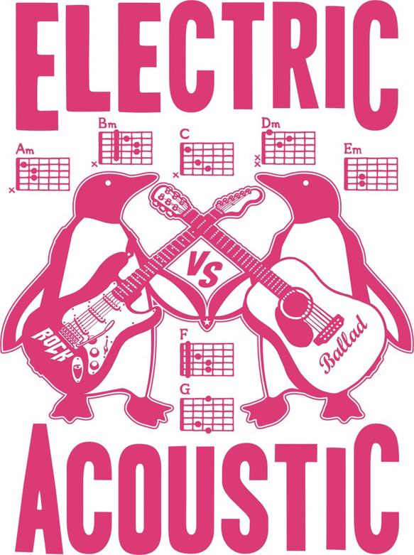 ELECTRIC×ACOUSTIC PENGUIN 2枚目の画像