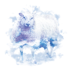 Sheep Cloud 2枚目の画像