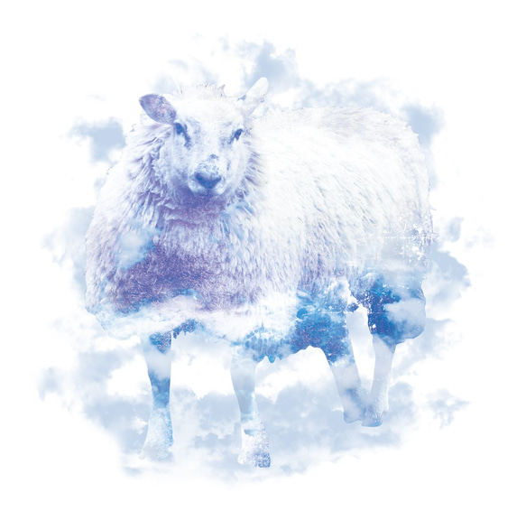 Sheep Cloud 2枚目の画像