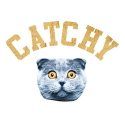 カレッジねこTシャツ「CATCHY CATS」 2枚目の画像