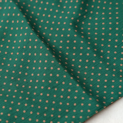 舊 Sally 圍巾 (21w-04) E/棕色 x 綠色 第7張的照片