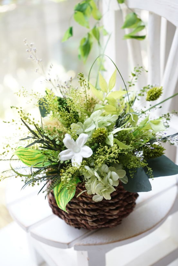 グリーンナチュラルアレンジ プリザーブドフラワー プリザーブド