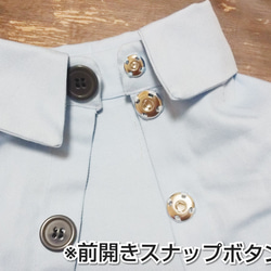 わんちゃん  半袖シャツ 水色 小型犬  S.Mサイズ 4枚目の画像