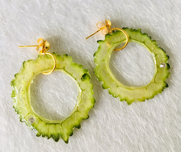 【ハンドメイド】ゴーヤのオリジナルピアス★押し野菜★ほんもの野菜★サークル★食べ物ピアス★ 3枚目の画像