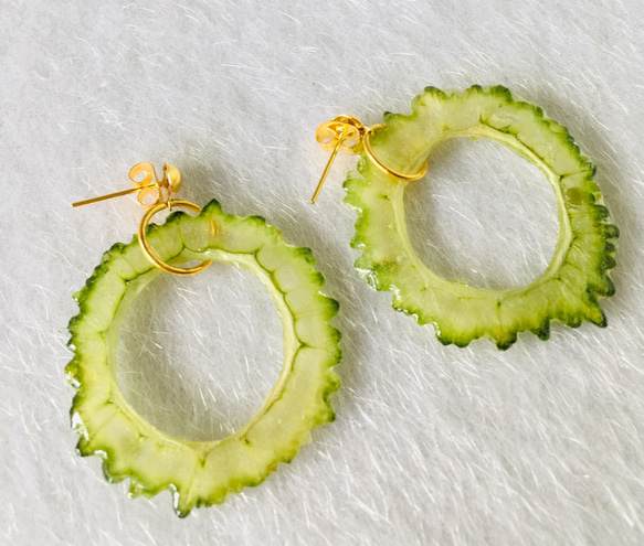 【ハンドメイド】ゴーヤのオリジナルピアス★押し野菜★ほんもの野菜★サークル★食べ物ピアス★ 4枚目の画像