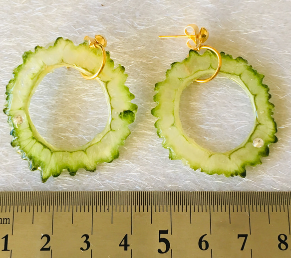 【ハンドメイド】ゴーヤのオリジナルピアス★押し野菜★ほんもの野菜★サークル★食べ物ピアス★ 5枚目の画像