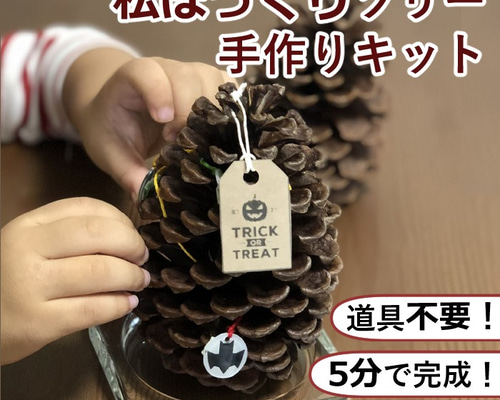 松ぼっくりと人 松ぼっくり クリスマスツリー 枯れ杉 クリスマスツリー 常夜灯