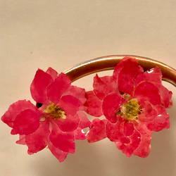 ちどり草の花イヤリング（ピンク） 1枚目の画像