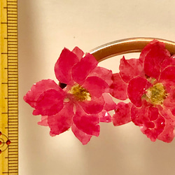ちどり草の花イヤリング（ピンク） 4枚目の画像