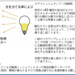 エアフレッシュランプ　パイナップル　LEDで周囲の空気をキレイにするランプ　癒し　テーブルランプ 4枚目の画像