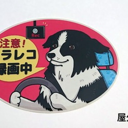 ドラレコ録画中ステッカー 【ボーダー　タレ耳】 3枚目の画像