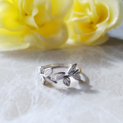 1_6e6a3c1bc99de57cbffff99cec0b