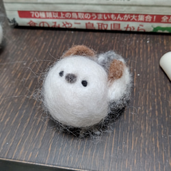 【受注販売】まぁるいとり　シマエナガさん 10枚目の画像