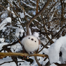 【受注販売】まぁるいとり　シマエナガさん 2枚目の画像