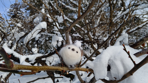 【受注販売】まぁるいとり　シマエナガさん 2枚目の画像