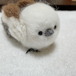 【受注販売】まぁるいとり　シマエナガさん 7枚目の画像