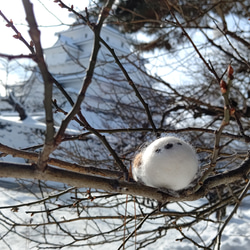 【受注販売】まぁるいとり　シマエナガさん 8枚目の画像