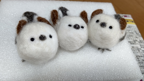 【受注販売】まぁるいとり　シマエナガさん 9枚目の画像