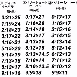 ネイルチップ-291 3枚目の画像