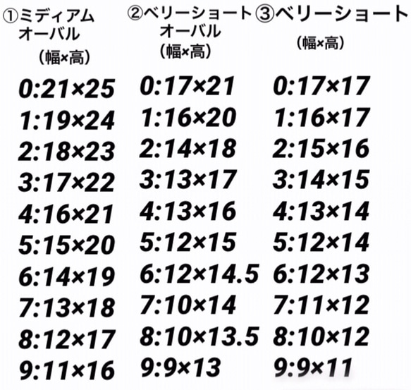 ネイルチップ-291 3枚目の画像