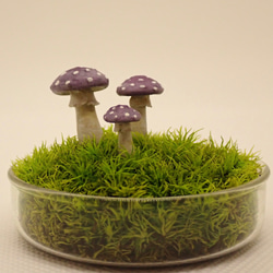 苔テラリウム用フィギュア『きのこ』ベニテング型　Mサイズ紫色 2枚目の画像