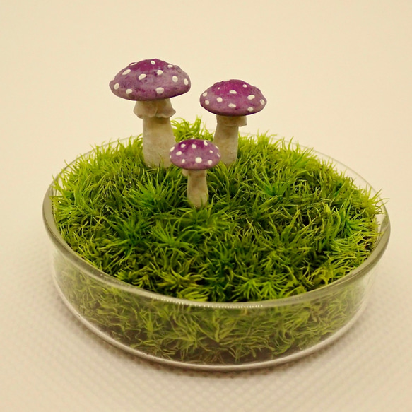 苔テラリウム用フィギュア『きのこ』ベニテング型　Sサイズ紫色 2枚目の画像