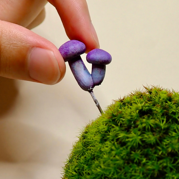 苔テラリウム用フィギュア『きのこ』しめじ型　Lサイズ紫色 4枚目の画像