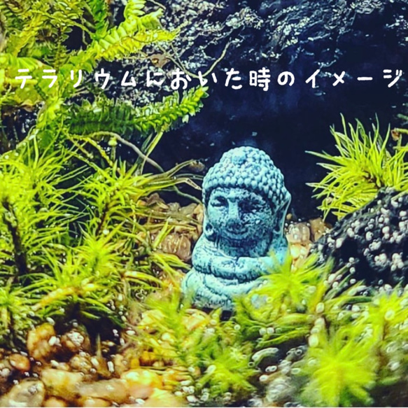 苔テラリウム用フィギュア『大仏様』Mサイズ 7枚目の画像