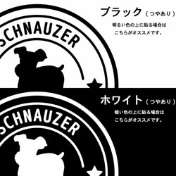 【シュナ】犬 ステッカー 切り抜き(転写)タイプ シュナウザー カーステッカー 4枚目の画像