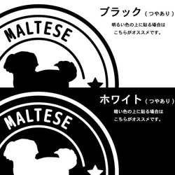 【マルチーズ】犬 ステッカー 切り抜き(転写)タイプ カーステッカー 4枚目の画像
