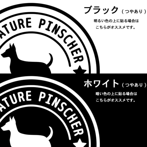 【ミニピン】犬 ステッカー 切り抜き(転写)タイプ ミニチュアピンシャーステッカー 4枚目の画像