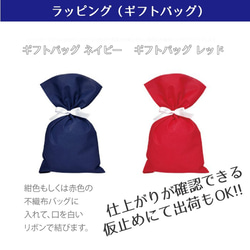 【名入れ】開店祝いや周年記念に！お手入れも簡単で、1週間に1度程度霧吹きで水やりをするだけ 苔テラリウムキット L 9枚目の画像