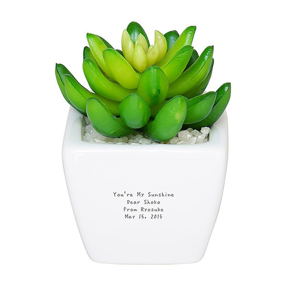 【名入れ】お手入れ簡単な造花の観葉植物 CT触媒グリーン セダム 5枚目の画像
