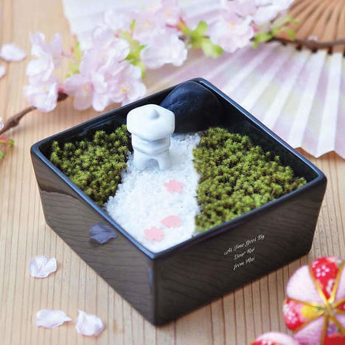 名入れ】小さな箱の中に自分だけの景観を作り出すミニチュア庭園 苔