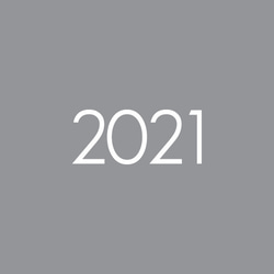 2021 カラーの 台紙　横型　2021グレー 100枚 2枚目の画像